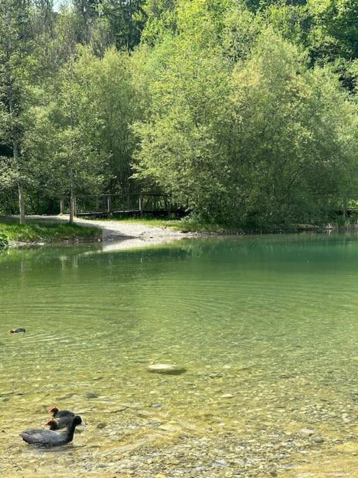 Cocon A La Campagne,Proche Annecy Apartment Alby-sur-Cheran Exterior foto